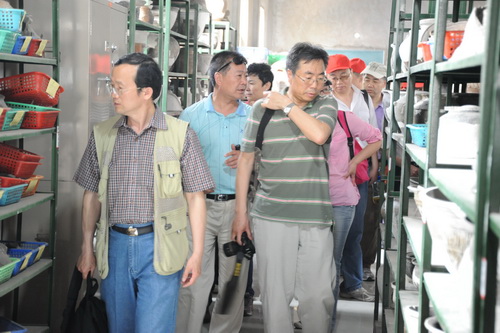 我所人员参观我院考古所殷墟考古工作室