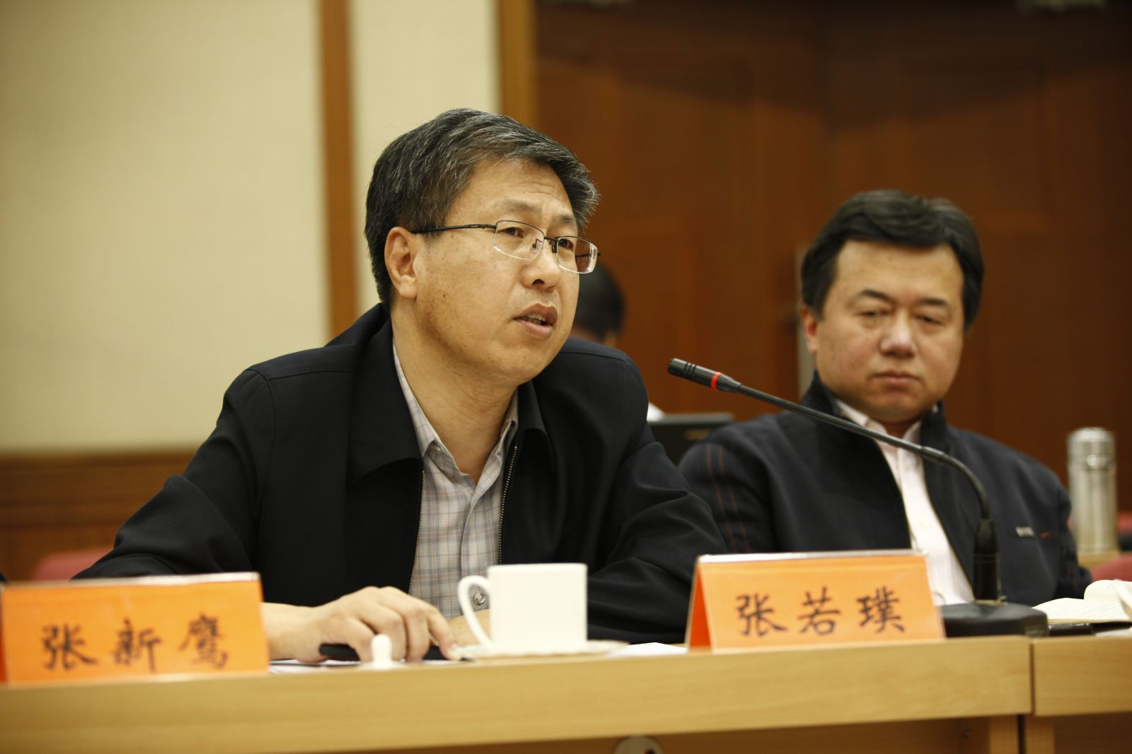 新疆自治区民族事务委员会副主任张若璞发言