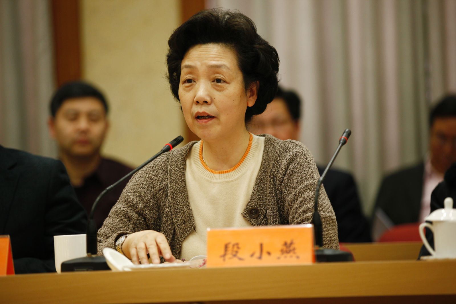 中国社会科学院财计局局长段小燕发言