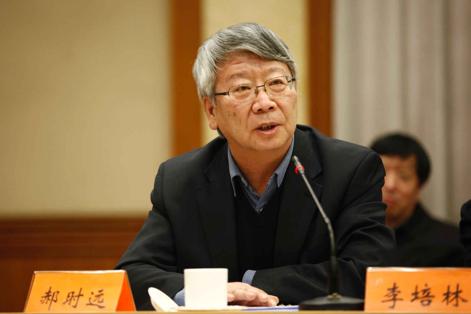 中国社会科学院院长助理、学部主席团秘书长郝时远发言
